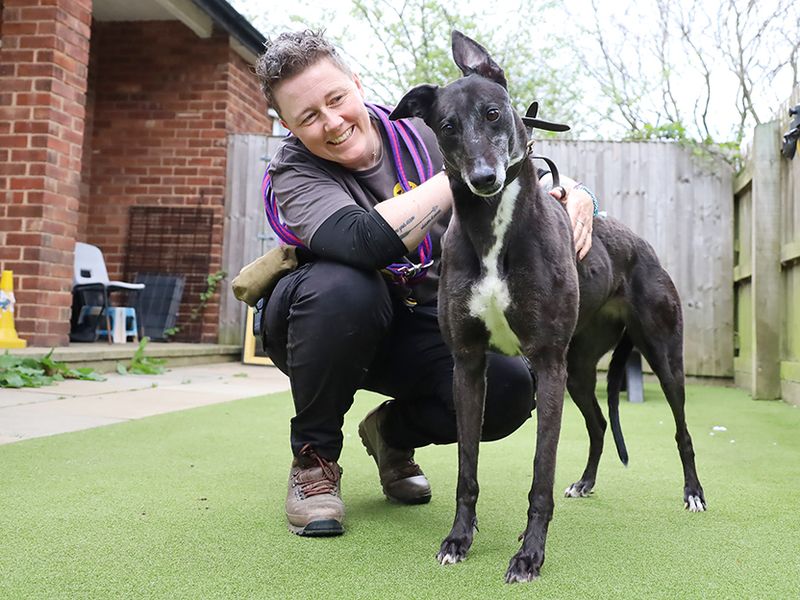 Alexa - Image 3 of 4