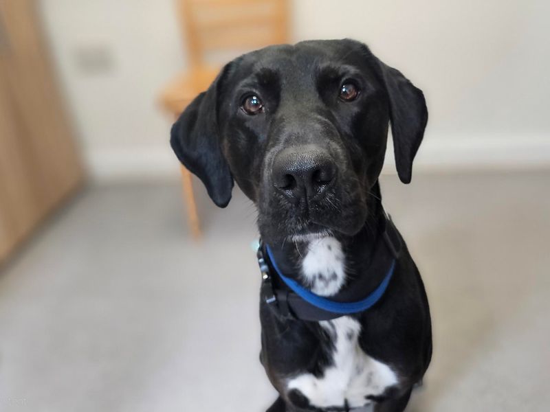 Max