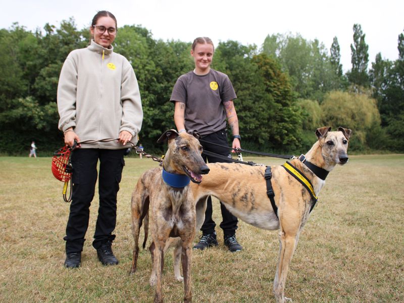 Anna | Greyhound | Merseyside (Liverpool) - 4