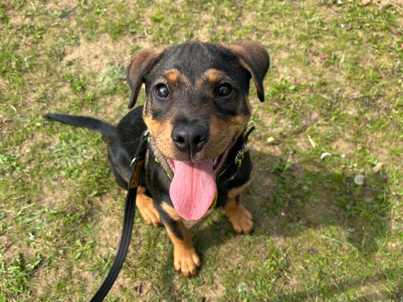 Ella