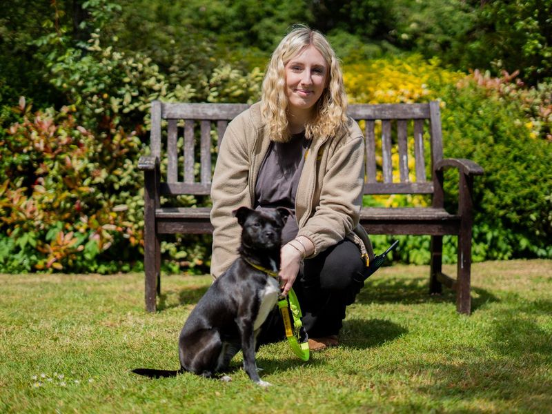 undefined | Terrier (Patterdale) | undefined - 1