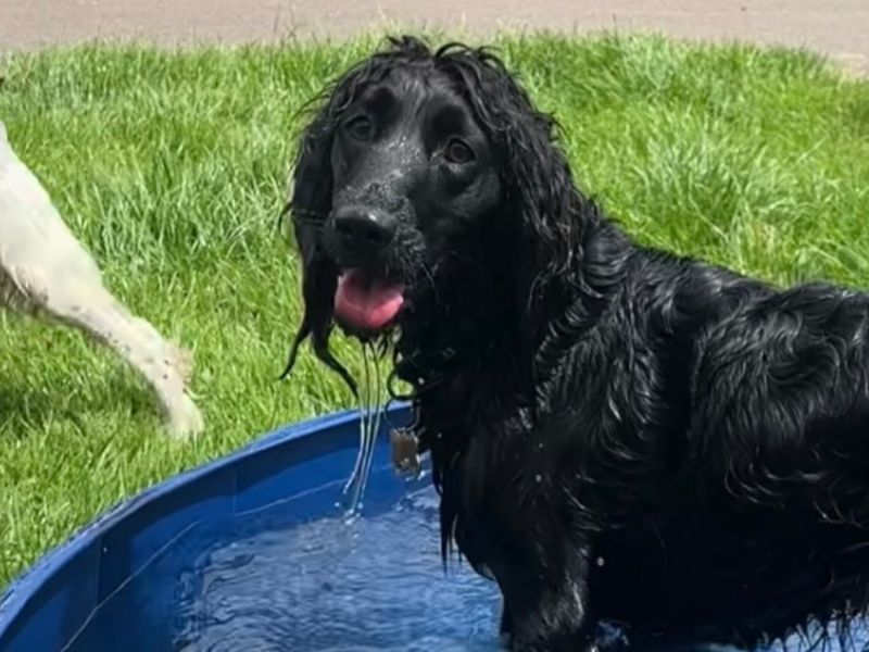 Marley - Image 5 of 5
