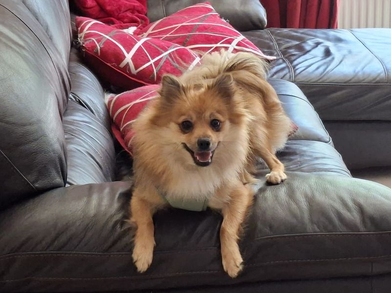 Roxy