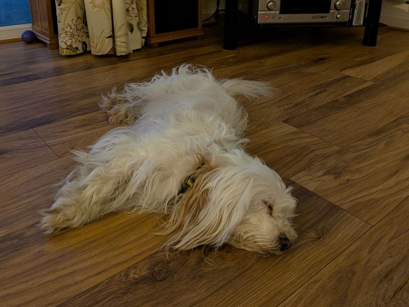 Ella