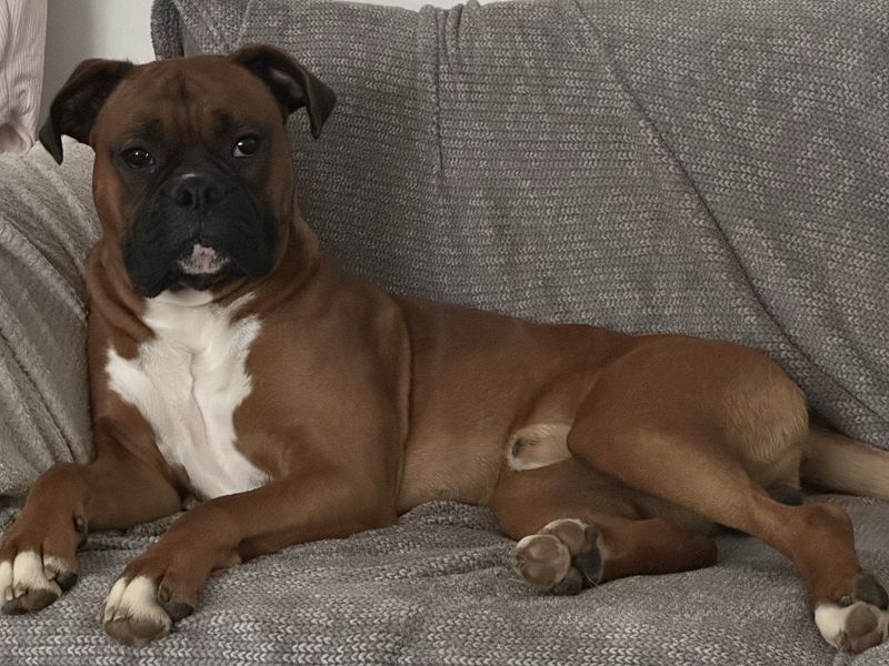 Roxy
