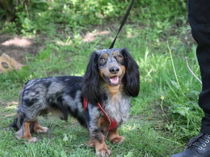 Arlo