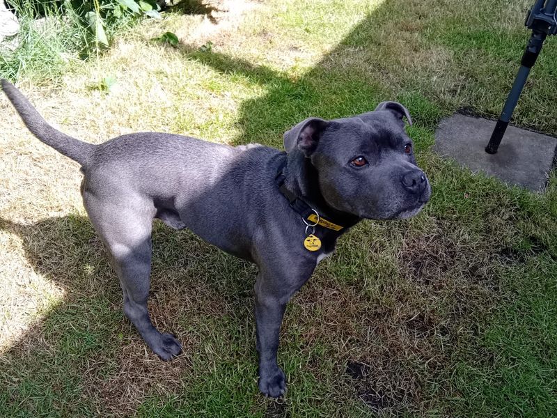Zeus - Image 2 of 2
