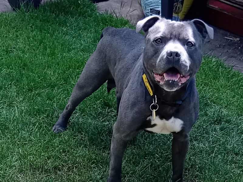 Zeus