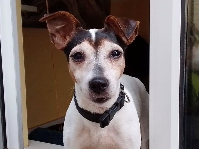 Esther