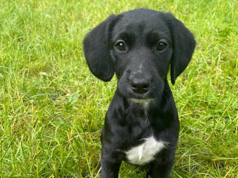 Matilda