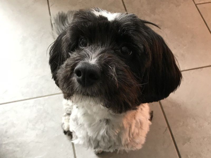Bella