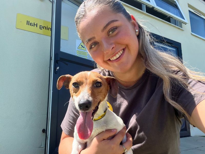 Kitty | Terrier (Jack Russell) | Snetterton (Norfolk) - 6