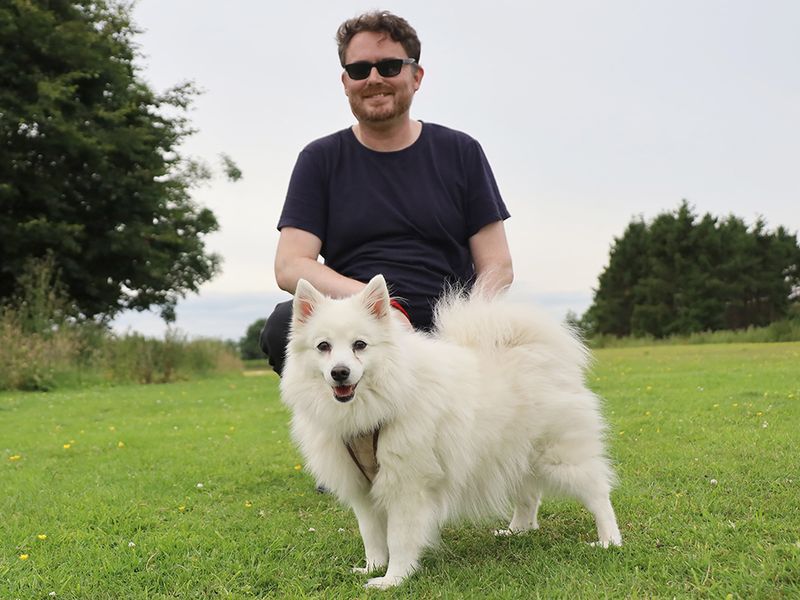Yuki | Japanese Spitz | Leeds - 2