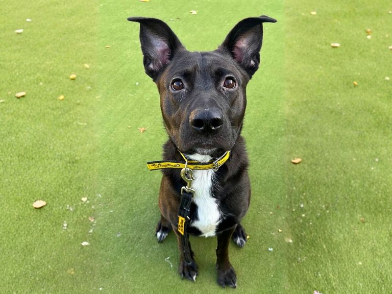 Lara | Unlisted Cross | Manchester - 2