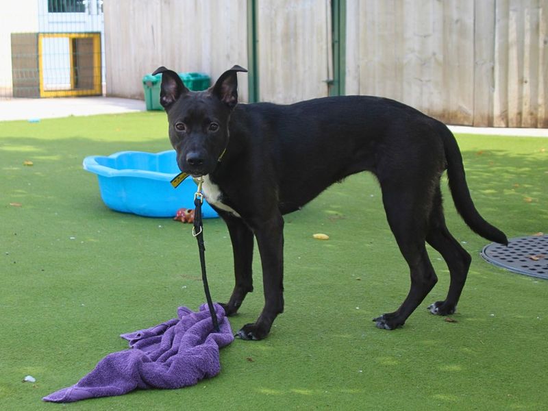Lara | Unlisted Cross | Manchester - 7