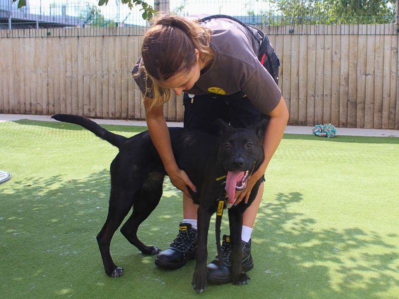 Lara | Unlisted Cross | Manchester - 4