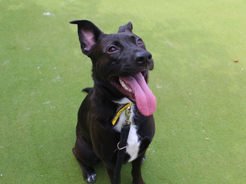 Lara | Unlisted Cross | Manchester - 5