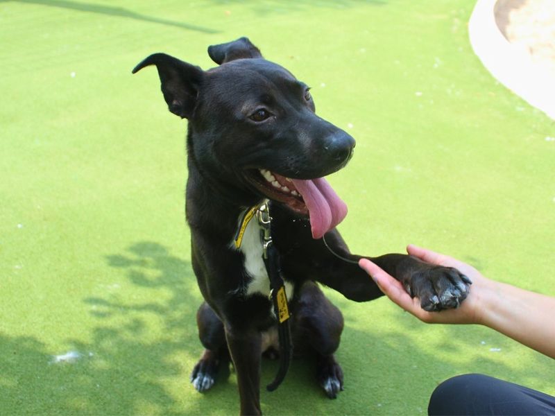 Lara | Unlisted Cross | Manchester - 6