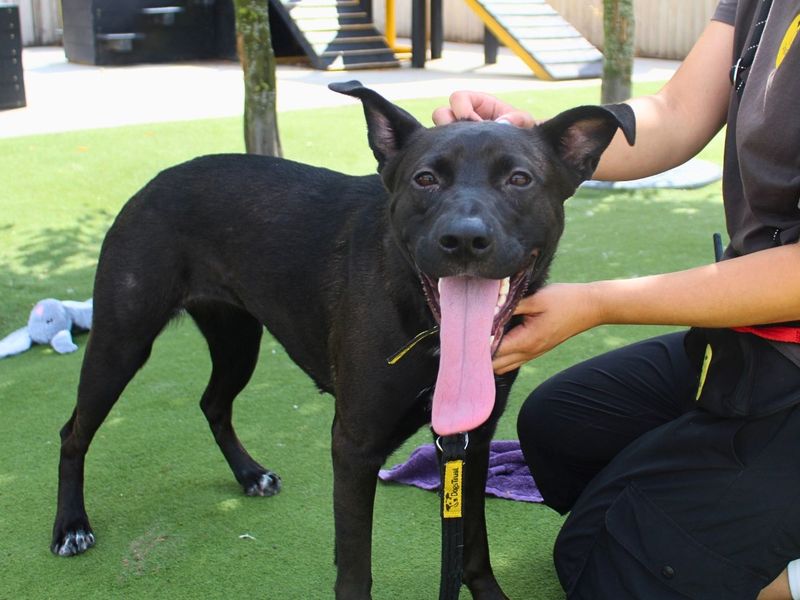 Lara | Unlisted Cross | Manchester - 3