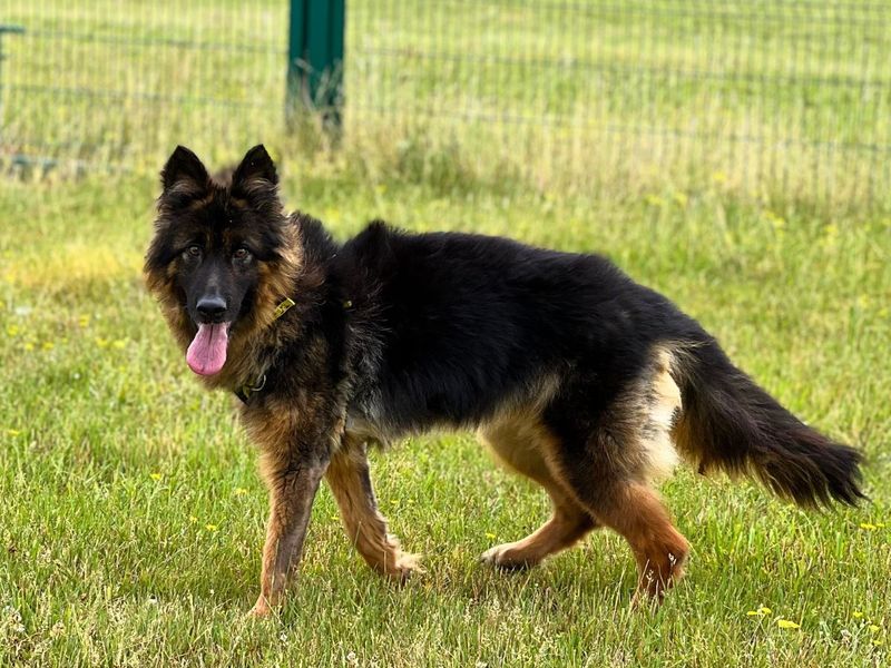 Mitsy - Image 4 of 7
