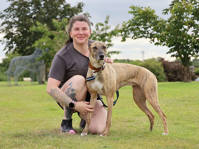 Nyla | Greyhound Cross | Leeds - 3