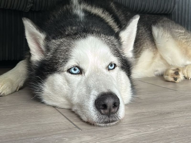 Kobi