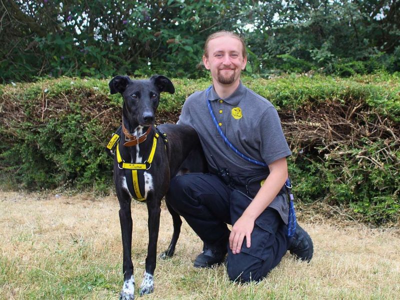 Storm | Lurcher | Manchester - 3