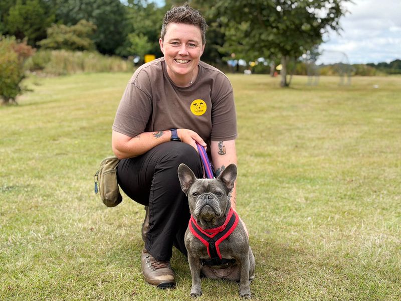 Coco | French Bulldog | Leeds - 2