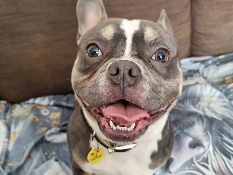 Max