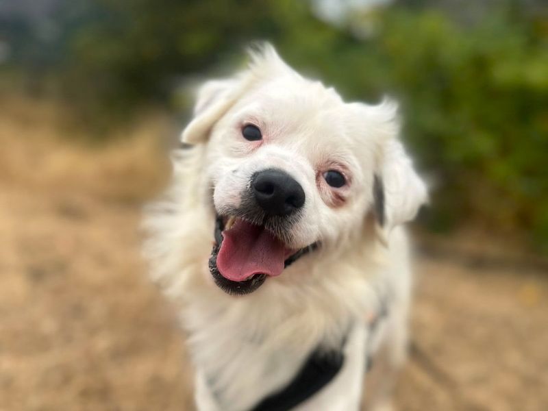 Rupert