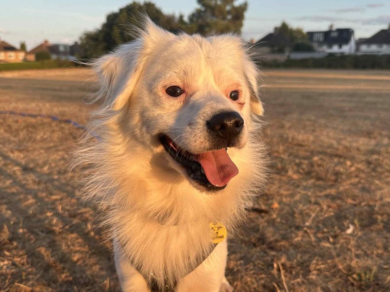 Rupert