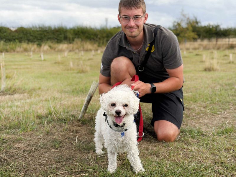 Albie - Image 2 of 4