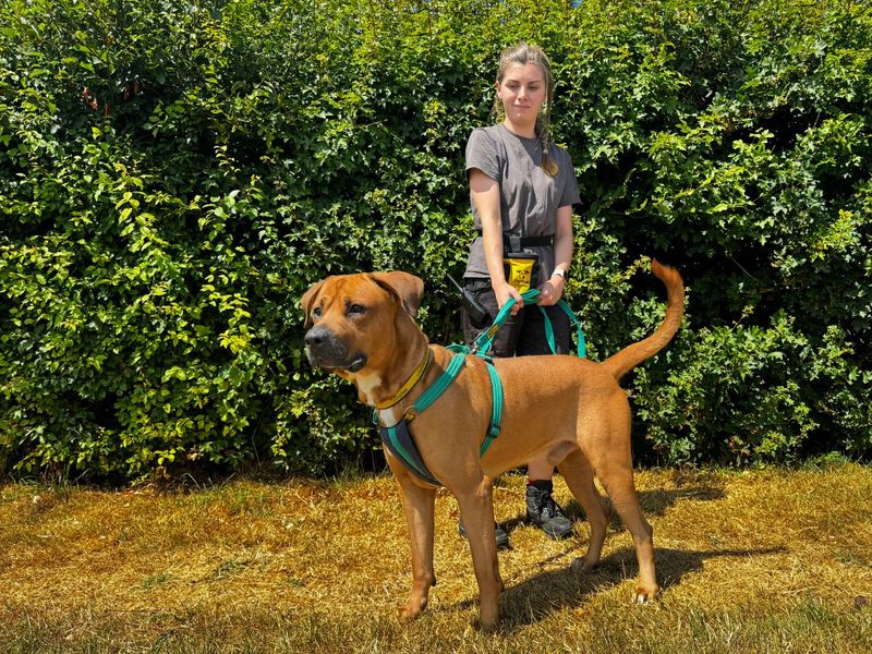 Ricky | null | Salisbury (Wiltshire) - 4