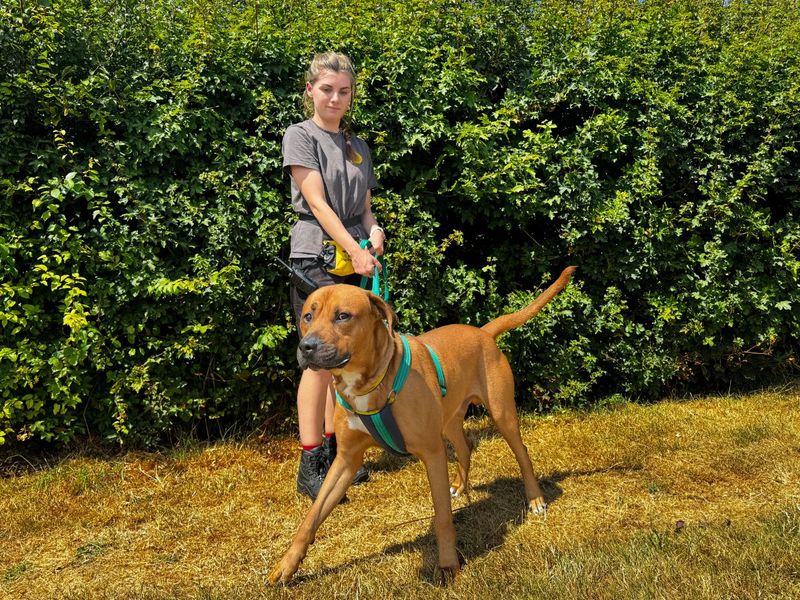 Ricky | null | Salisbury (Wiltshire) - 6