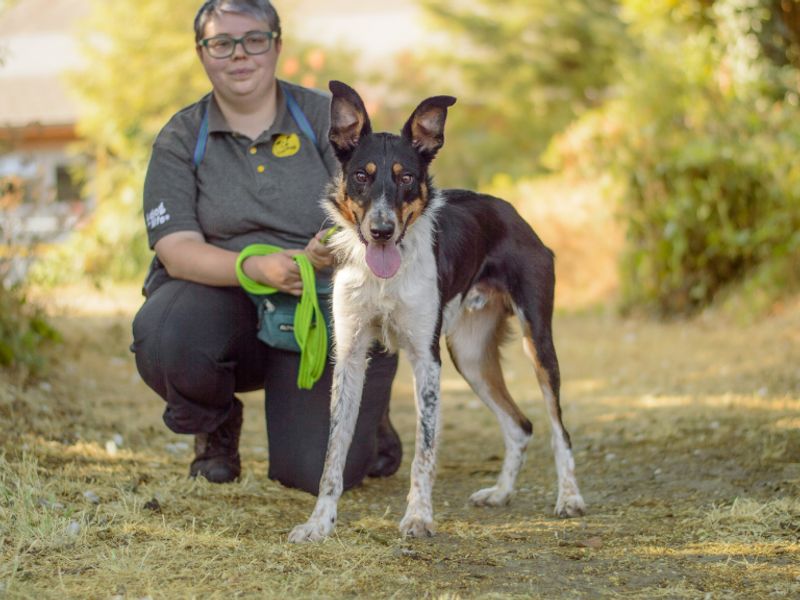 Sid