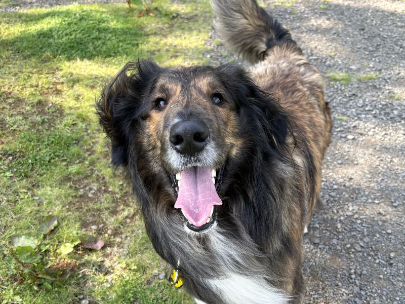 Ben