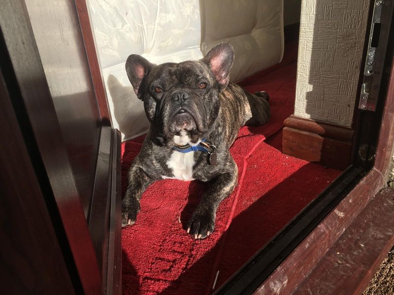 Tonka