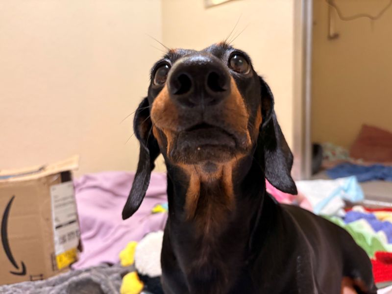 Tilly