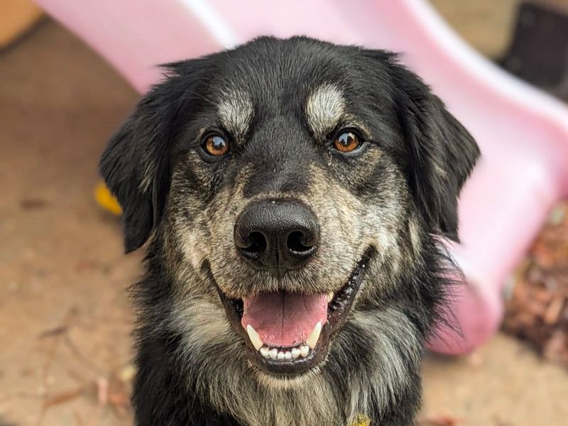 George - Image 2 of 3