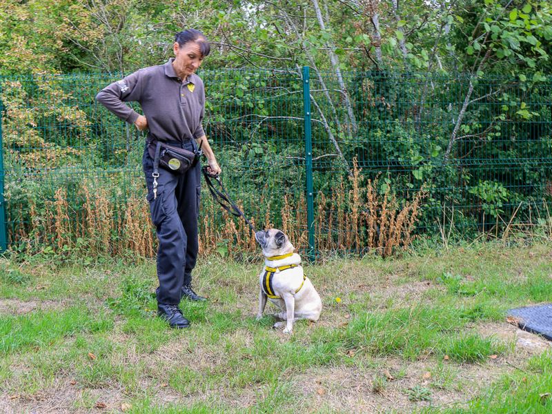 Dudley - Image 2 of 6