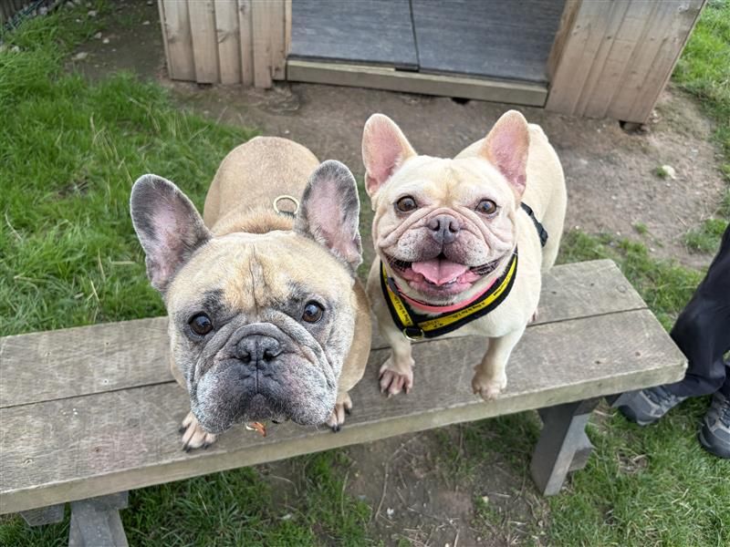 Gwen & Bryn - Image 4 of 5