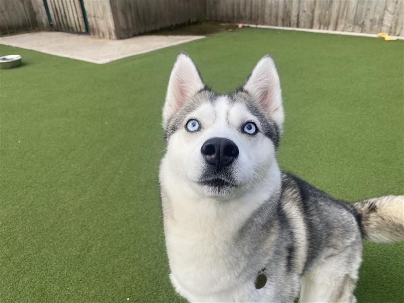 Luna