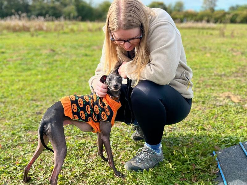 Wordsworth | Greyhound (Italian) | Snetterton (Norfolk) - 1