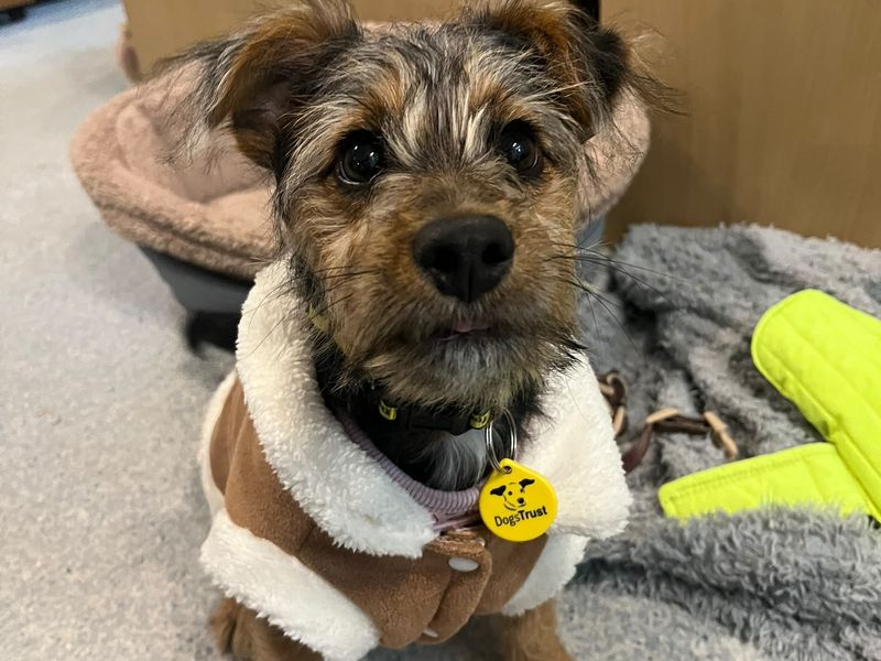 Winnie