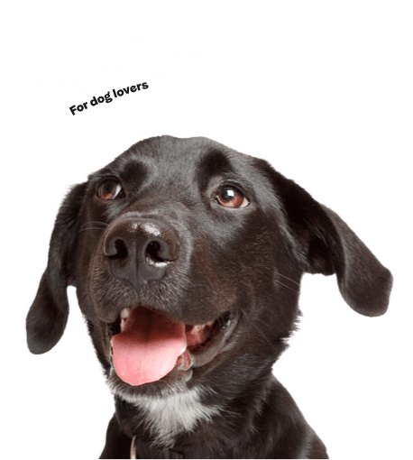 Wag - For Dog Lovers